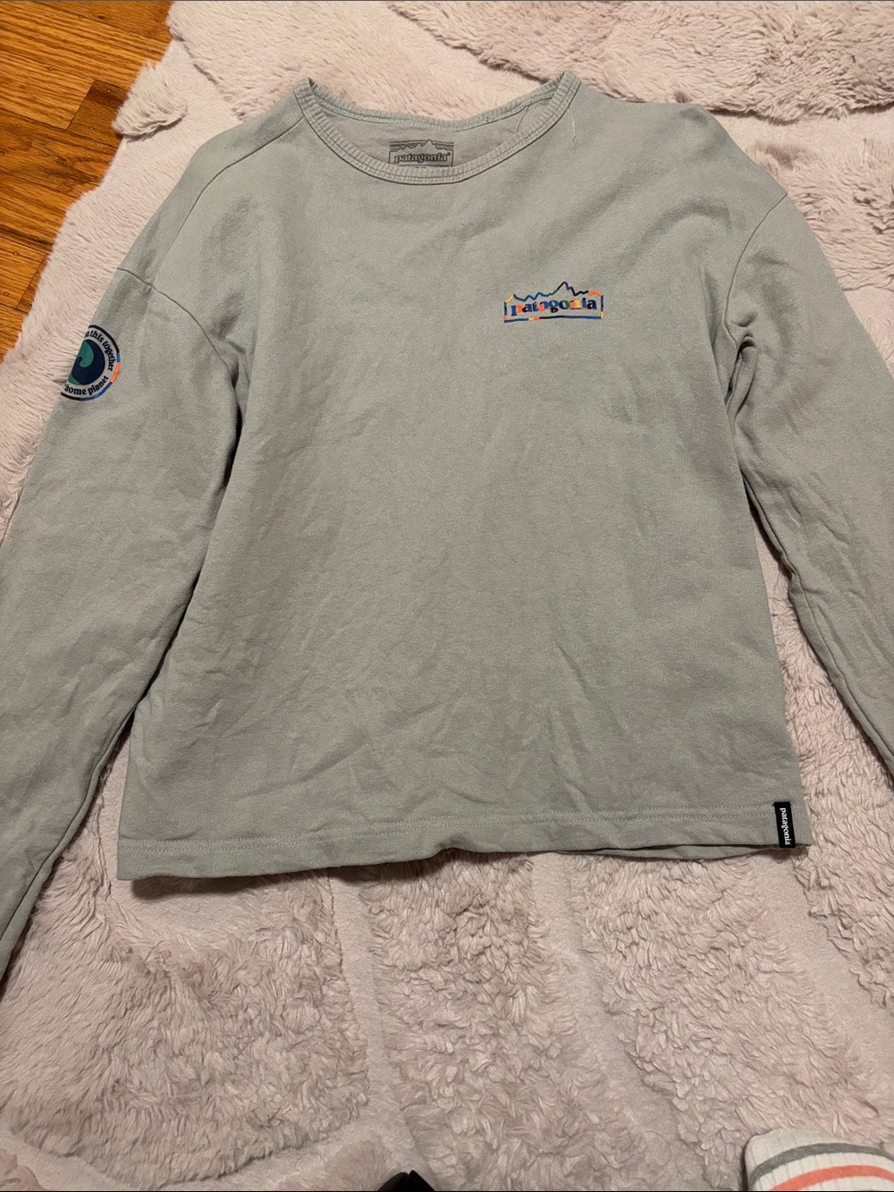 Patagonia light gray long sleeve crew with chest logo